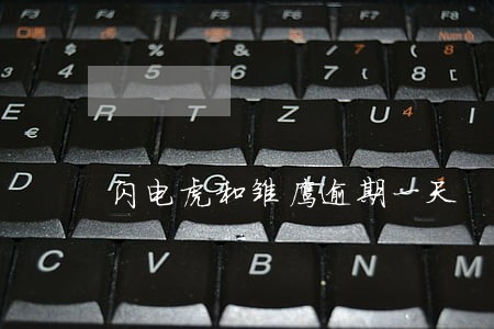 闪电虎和雏鹰逾期一天 闪电虎和雏鹰逾期一天