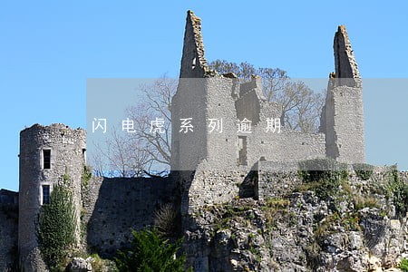 闪电虎系列逾期 闪电虎系列逾期
