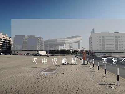 闪电虎逾期10天怎么办 闪电虎逾期10天怎么办