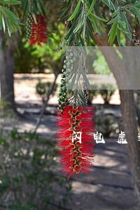 闪电虎逾期1天 闪电虎逾期1天