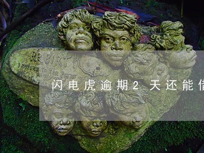 闪电虎逾期2天还能借吗