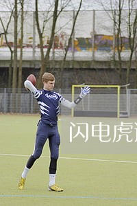 闪电虎逾期一个月 闪电虎逾期一个月