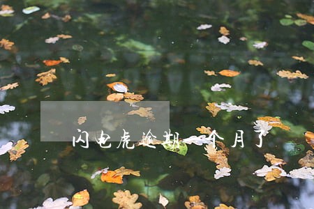 闪电虎逾期一个月了 闪电虎逾期一个月了