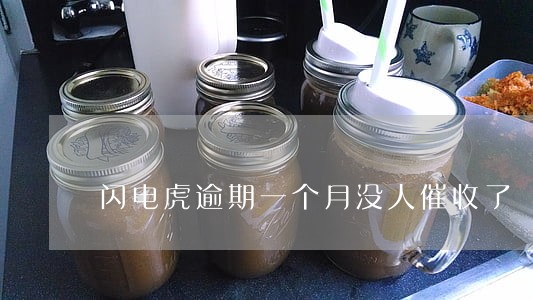 闪电虎逾期一个月没人催收了 闪电虎逾期一个月没人催收了
