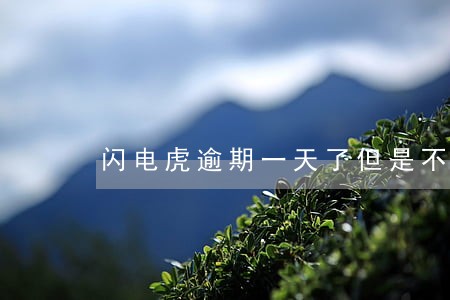 闪电虎逾期一天了但是不能还款 闪电虎逾期一天了但是不能还款