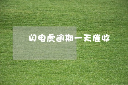闪电虎逾期一天催收 闪电虎逾期一天催收