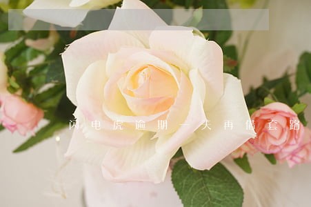 闪电虎逾期一天再借套路 闪电虎逾期一天再借套路