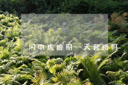 闪电虎逾期一天套路吗 闪电虎逾期一天套路吗