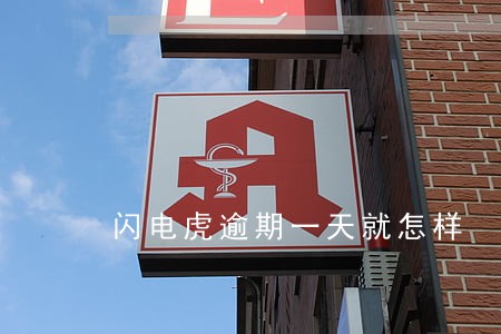 闪电虎逾期一天就怎样 闪电虎逾期一天就怎样