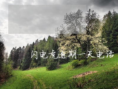 闪电虎逾期一天电话 闪电虎逾期一天电话