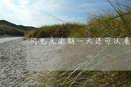 闪电虎逾期一天还可以展期吗 闪电虎逾期一天还可以展期吗