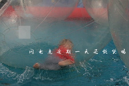 闪电虎逾期一天还能贷吗