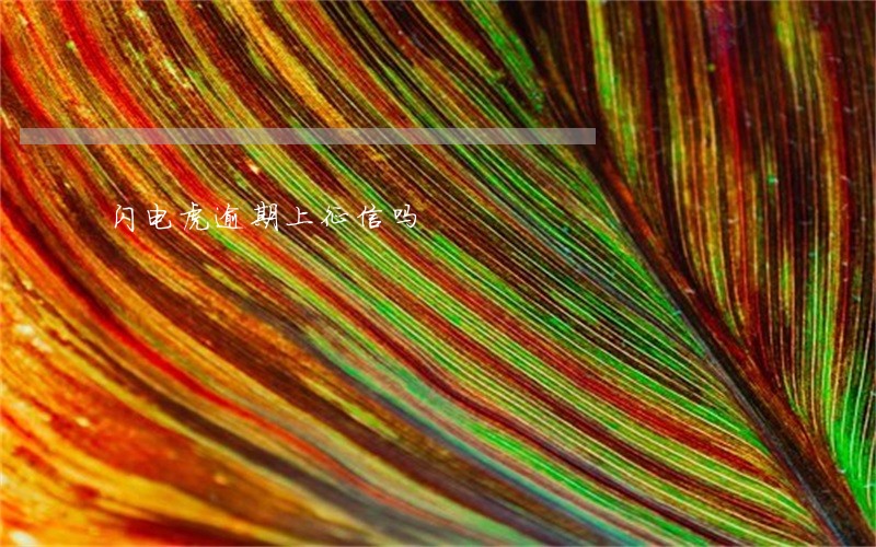 闪电虎逾期上征信吗 闪电虎逾期上征信吗