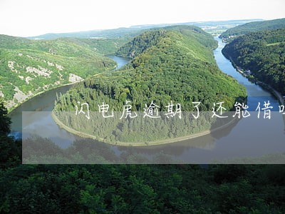 闪电虎逾期了还能借吗 闪电虎逾期了还能借吗