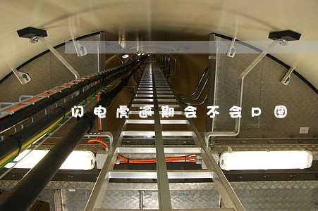闪电虎逾期会不会P图