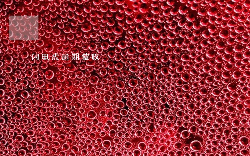 闪电虎逾期催收
