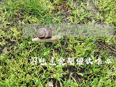 闪电虎逾期催收咋办 闪电虎逾期催收咋办