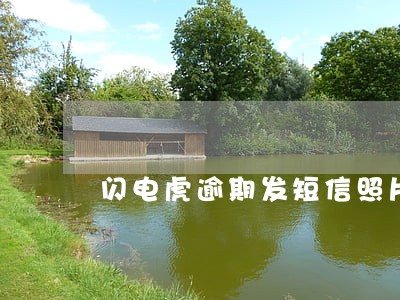 闪电虎逾期发短信照片么 闪电虎逾期发短信照片么