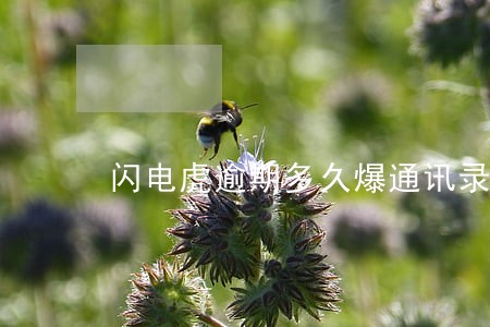 闪电虎逾期多久爆通讯录 闪电虎逾期多久爆通讯录