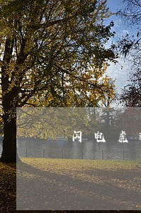 闪电虎逾期套路几天后可以再借 闪电虎逾期套路几天后可以再借