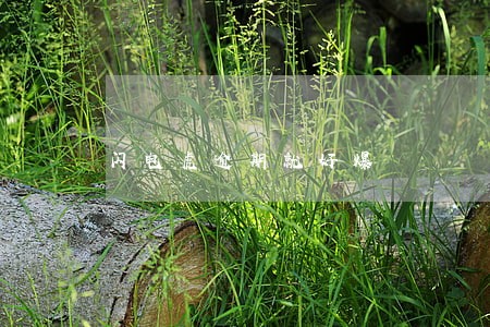 闪电虎逾期就好爆 闪电虎逾期就好爆