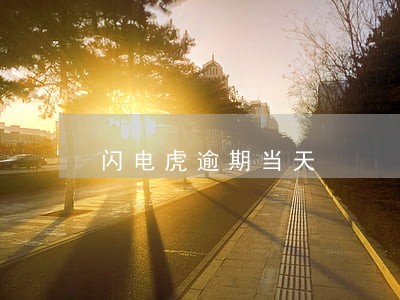 闪电虎逾期当天 闪电虎逾期当天