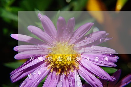 闪电虎逾期怎么协商 闪电虎逾期怎么协商