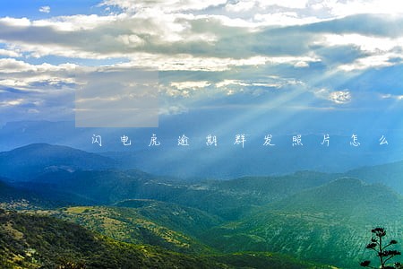 闪电虎逾期群发照片怎么解释 闪电虎逾期群发照片怎么解释