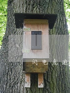 闪电虎逾期能减免吗 闪电虎逾期能减免吗