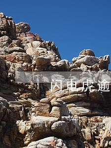 闪电虎逾期论坛 闪电虎逾期论坛