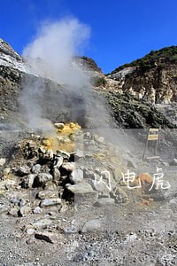 闪电虎逾期费不停的涨 闪电虎逾期费不停的涨