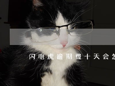 闪电虎逾期费十天会怎么样 闪电虎逾期费十天会怎么样