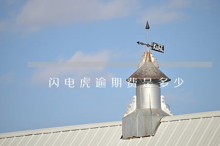 闪电虎逾期费是多少 闪电虎逾期费是多少