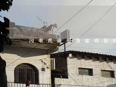 闪电虎逾期费能减免吗 闪电虎逾期费能减免吗
