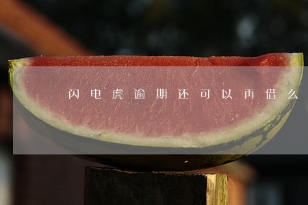 闪电虎逾期还可以再借么 闪电虎逾期还可以再借么