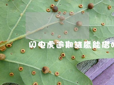 闪电虎逾期雏鹰能借吗 闪电虎逾期雏鹰能借吗
