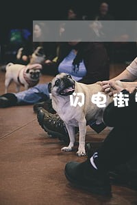 闪电街管家逾期怎么办 闪电街管家逾期怎么办