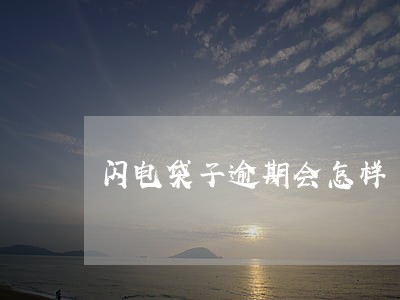 闪电袋子逾期会怎样 闪电袋子逾期会怎样