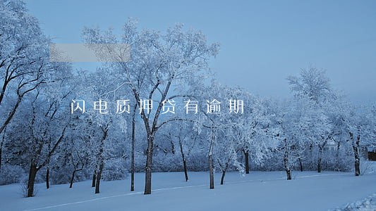 闪电质押贷有逾期 闪电质押贷有逾期