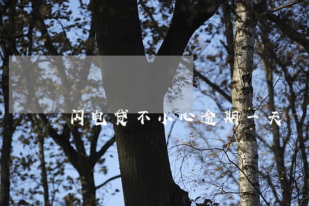 闪电贷不小心逾期一天 闪电贷不小心逾期一天