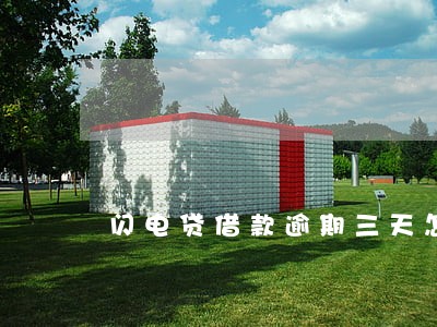 闪电贷借款逾期三天怎么办 闪电贷借款逾期三天怎么办