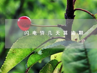 闪电贷几天算逾期 闪电贷几天算逾期