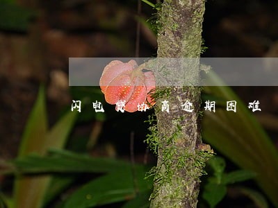 闪电贷协商逾期困难