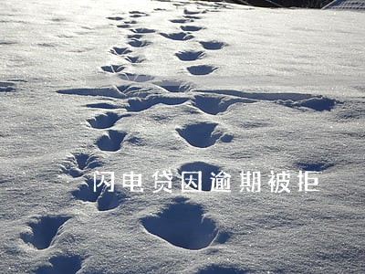 闪电贷因逾期被拒 闪电贷因逾期被拒