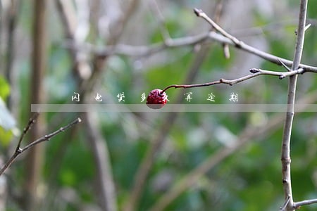 闪电贷多久算逾期 闪电贷多久算逾期