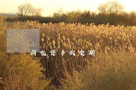 闪电贷多次逾期 闪电贷多次逾期