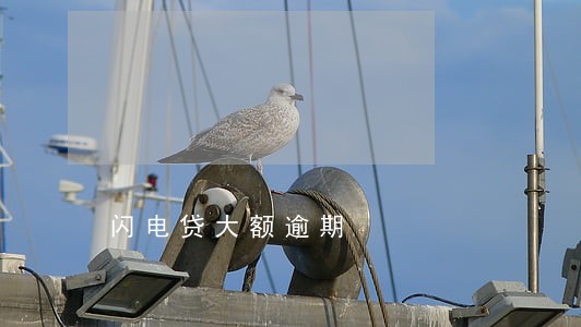闪电贷大额逾期 闪电贷大额逾期