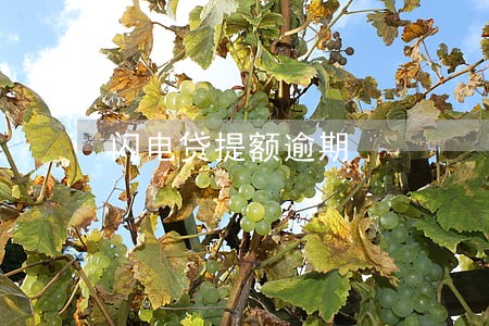 闪电贷提额逾期 闪电贷提额逾期