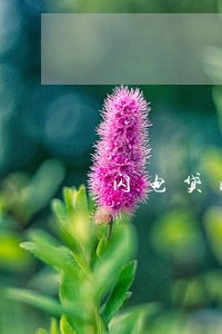闪电贷晚一天还算不算逾期