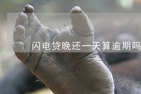 闪电贷晚还一天算逾期吗 闪电贷晚还一天算逾期吗